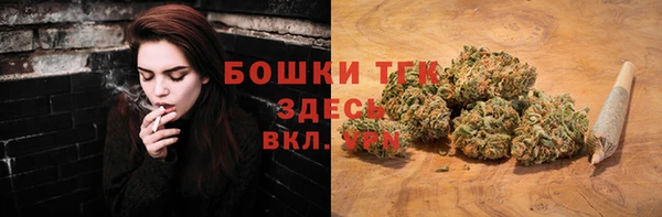 2c-b Саяногорск
