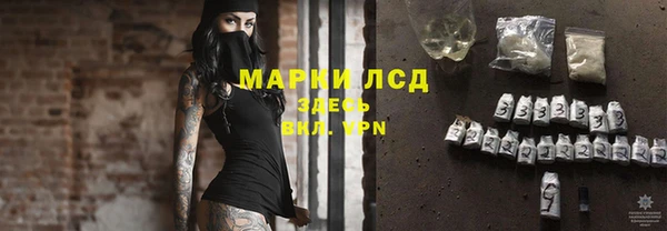 стаф Зерноград