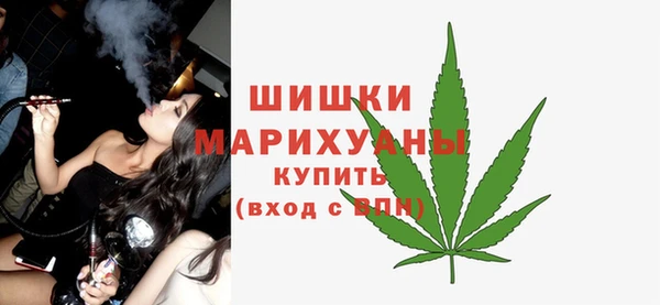 стаф Зерноград