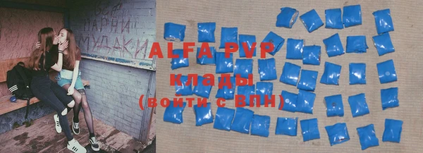 стаф Зерноград