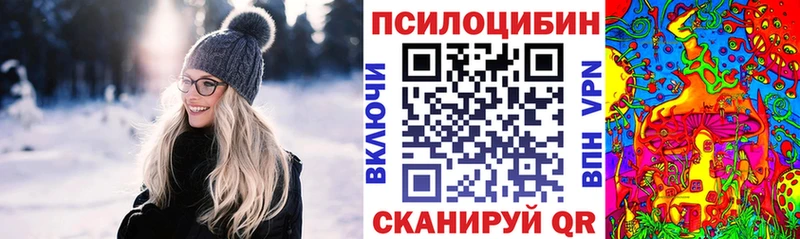Псилоцибиновые грибы Magic Shrooms  Судогда 